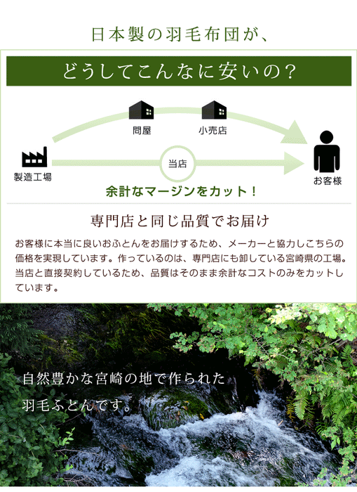 肌掛け布団  日本製 ダウンケット ポーランド産ホワイトマザーグースダウン 95% ダブル ロング CILプラチナラベル 消臭 抗菌 夏 夏用 布団【10年保証】〔10119326〕
