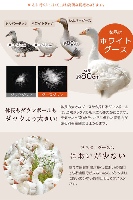 [セミダブル] 羽毛布団 増量1.5kg ポーランド産マザーグースダウン95% CILプラチナラベル 二層キルト 超長綿160番手 480dp かさ高200mm以上 10年保証 日本製 〔10119053〕