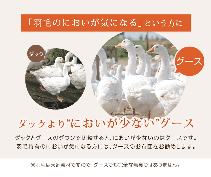 [ダブル] 1.6kg 羽毛布団 ポーランド産マザーグースダウン95％ CILブラックラベル 440dp 二層キルト 日本製 〔10119333〕
